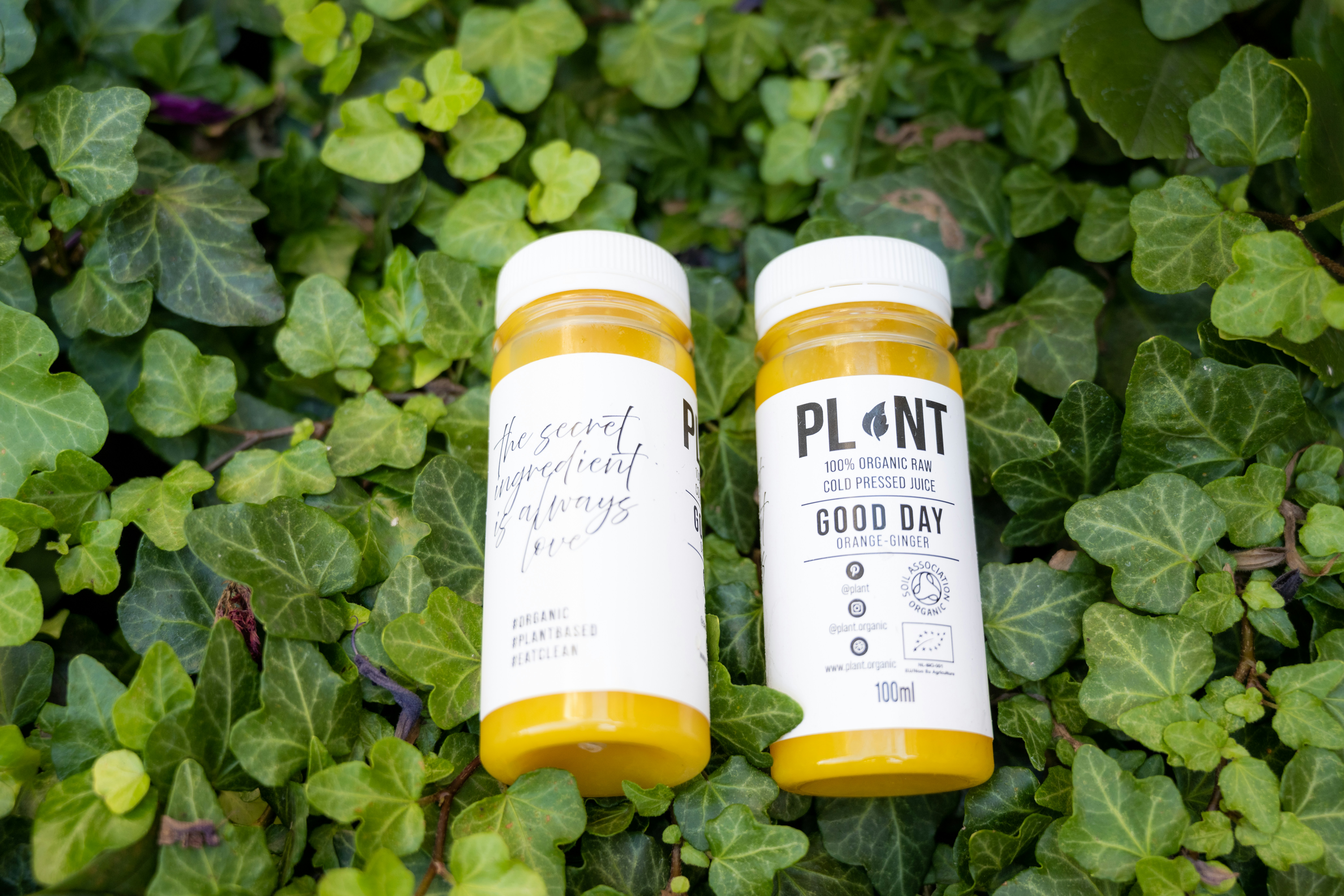PLANT certified organic cold pressed shots